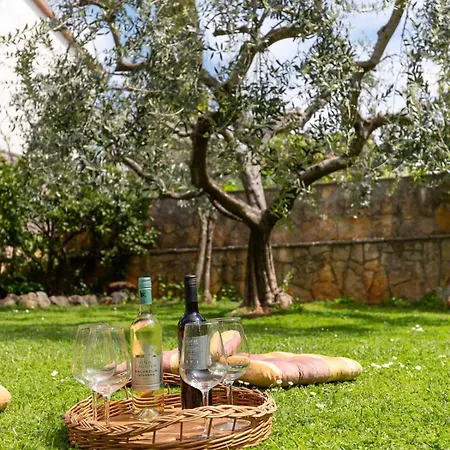 Loredana Apartment