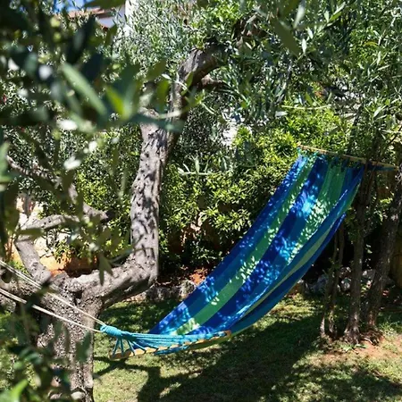 Apartment Loredana *